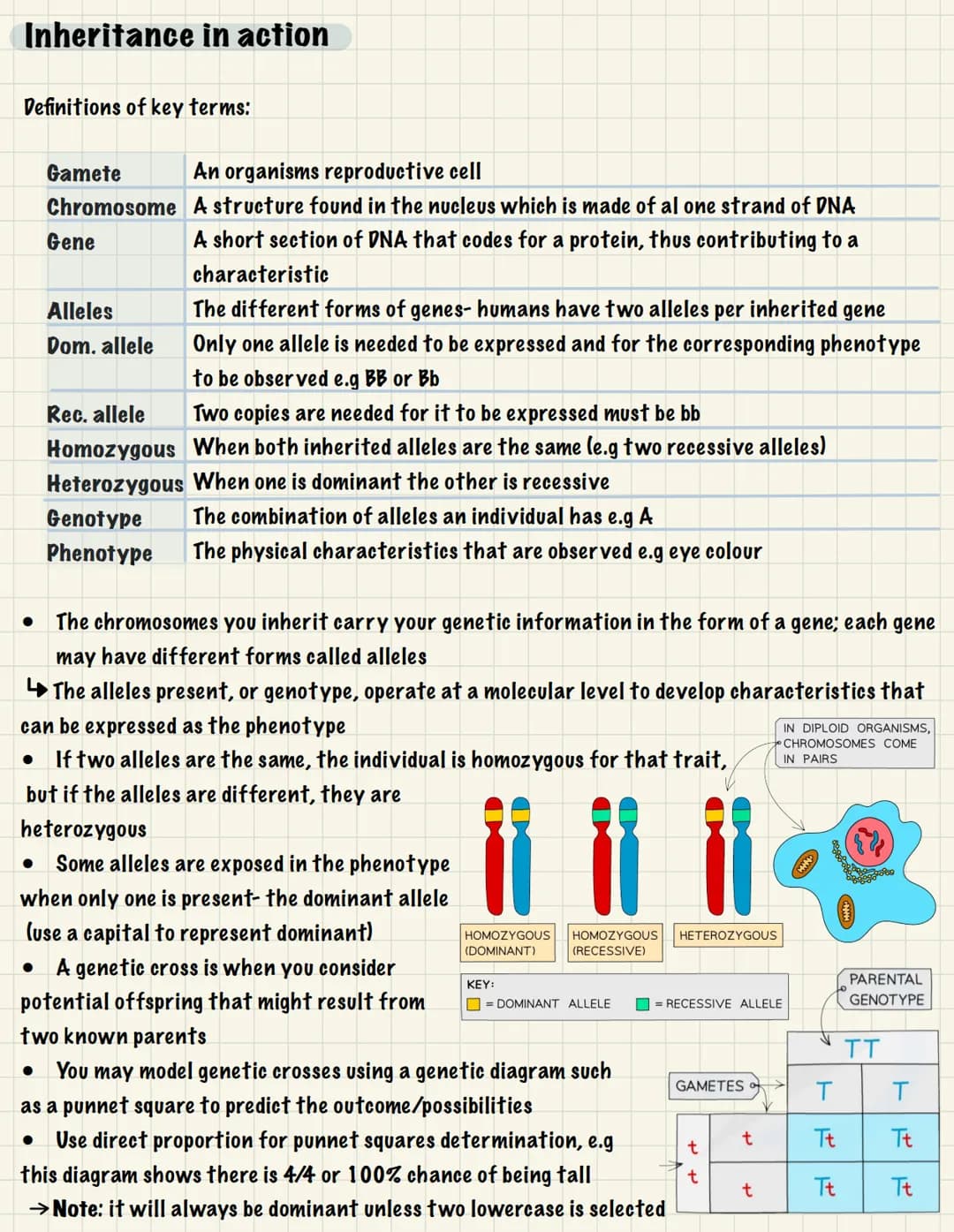 <h2 id="geneticsandreproductioninbiology">Genetics and Reproduction in Biology</h2>
<p>Reproduction (B1 3):</p>
<h3 id="typesofreproduction"