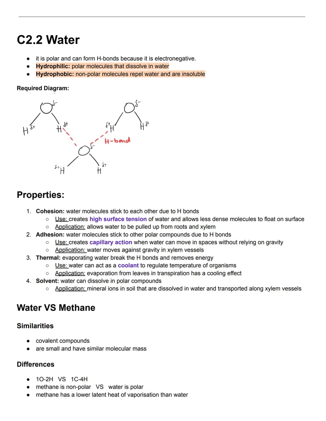 C2.1 Molecules to Metabolism
● Molecular biology: studies composition, structure, and interactions of cellular molecules
Carbon atom:
can fo