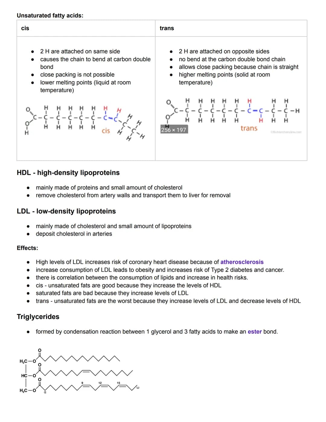 C2.1 Molecules to Metabolism
● Molecular biology: studies composition, structure, and interactions of cellular molecules
Carbon atom:
can fo