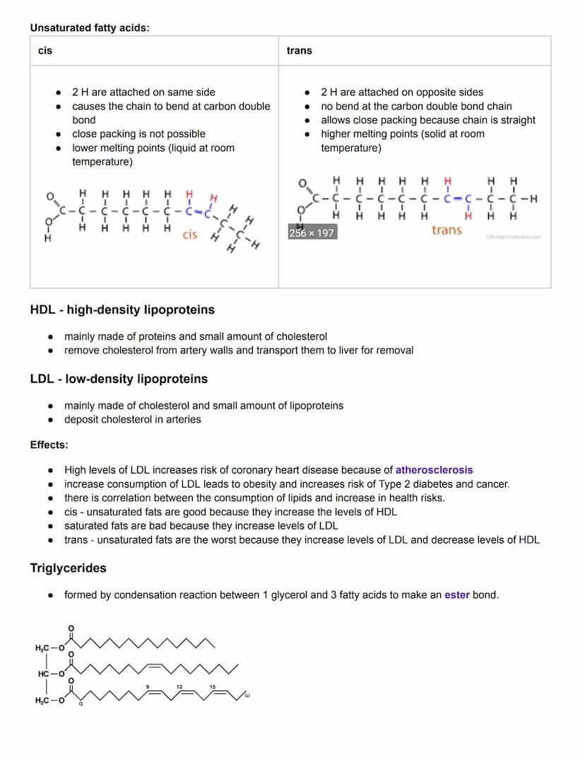 C2.1 Molecules to Metabolism
● Molecular biology: studies composition, structure, and interactions of cellular molecules
Carbon atom:
can fo