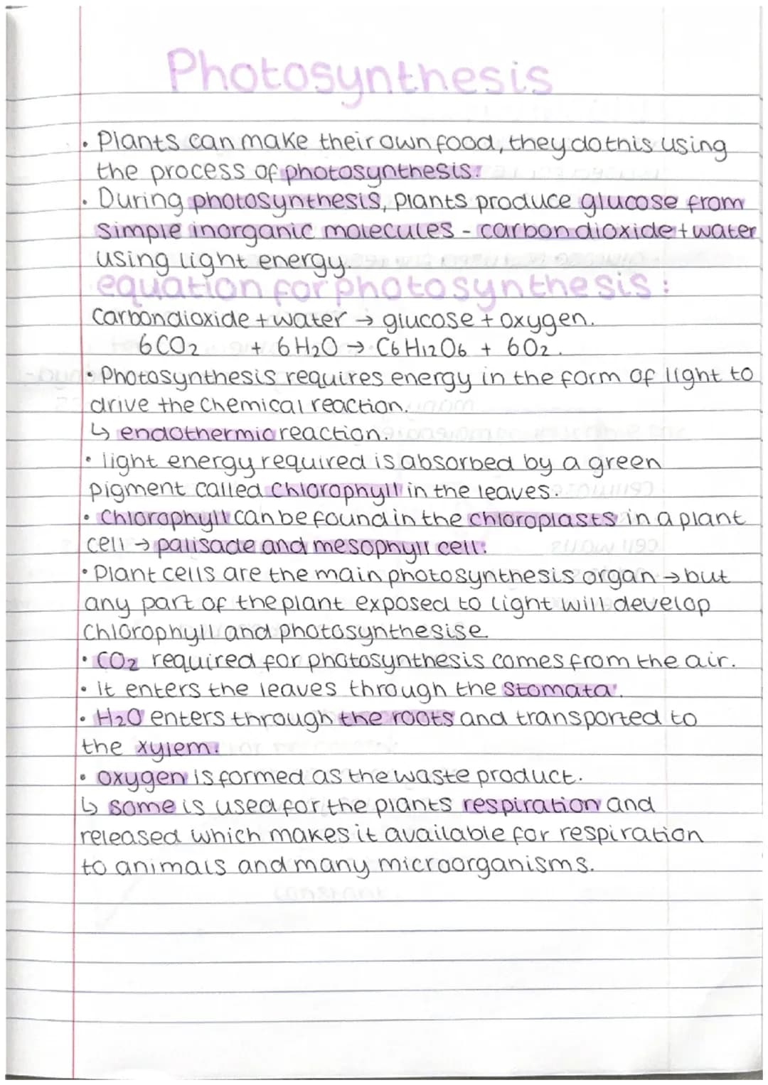 .
Photosynthesis
• Plants can make their own food, they do this using.
the process of photosynthesis.
During photosynthesis, plants produce 
