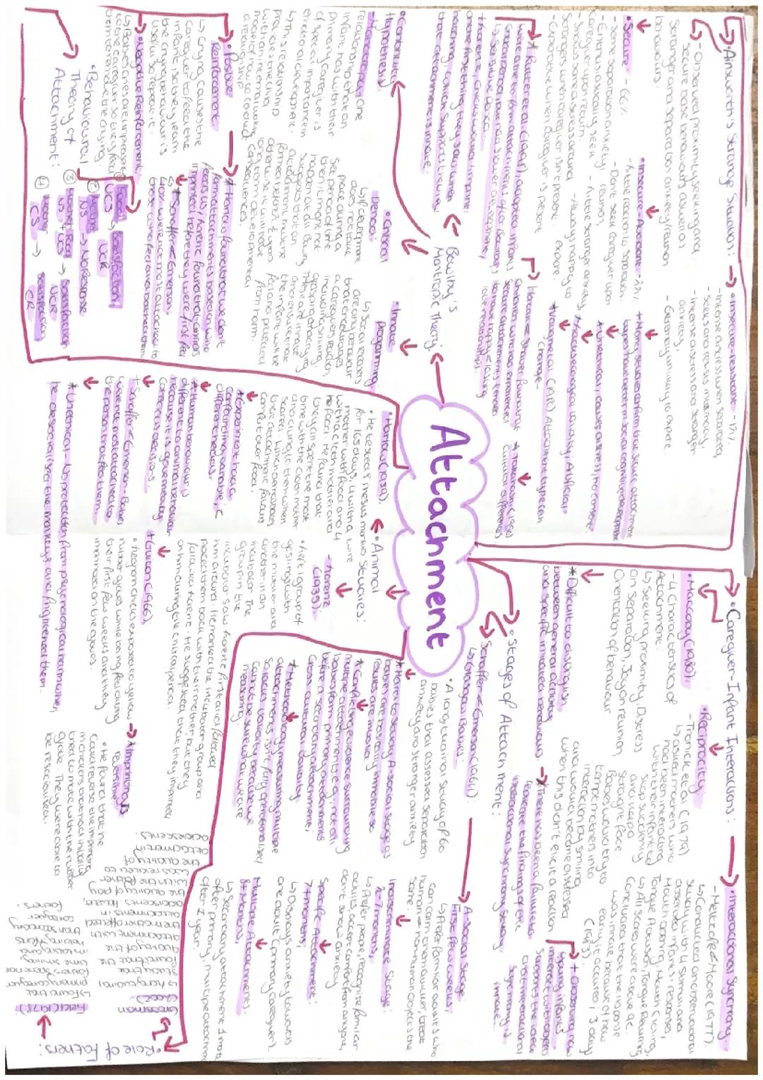 AQA Psychology Attachment 