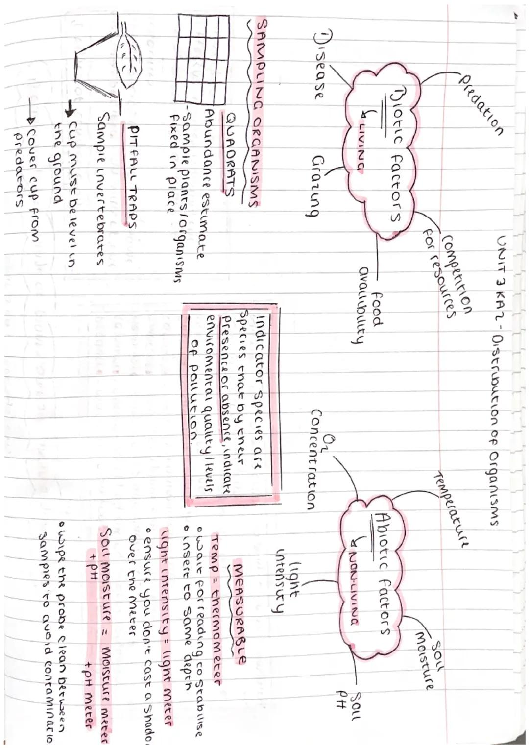 UNIT 3 KAI- Ecosystems
Biodiversity is the range of plants and animals in a given area
2 types of competition
INTRASPECIFIC = animals of the