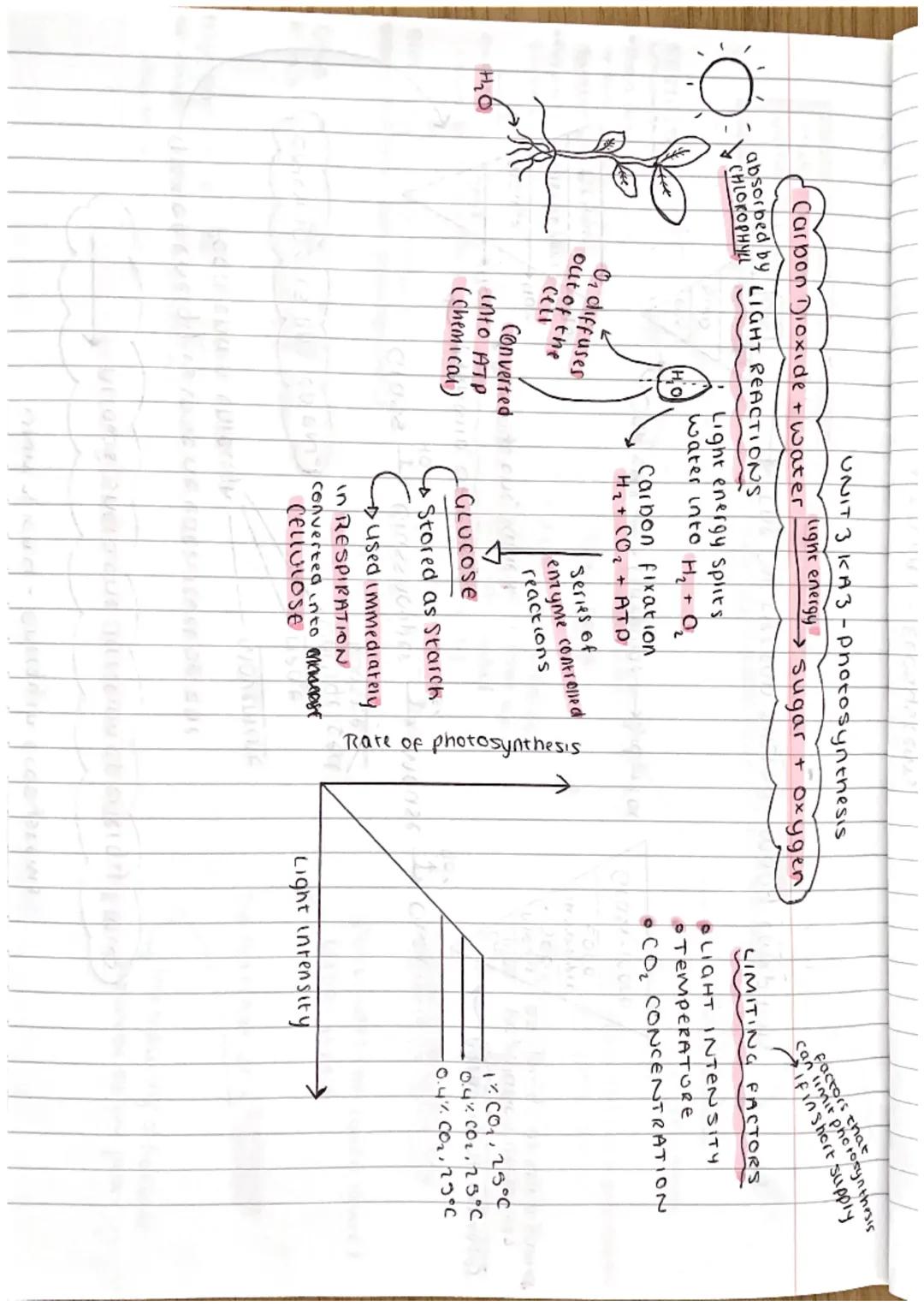 UNIT 3 KAI- Ecosystems
Biodiversity is the range of plants and animals in a given area
2 types of competition
INTRASPECIFIC = animals of the