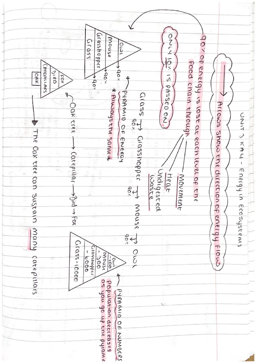 UNIT 3 KAI- Ecosystems
Biodiversity is the range of plants and animals in a given area
2 types of competition
INTRASPECIFIC = animals of the
