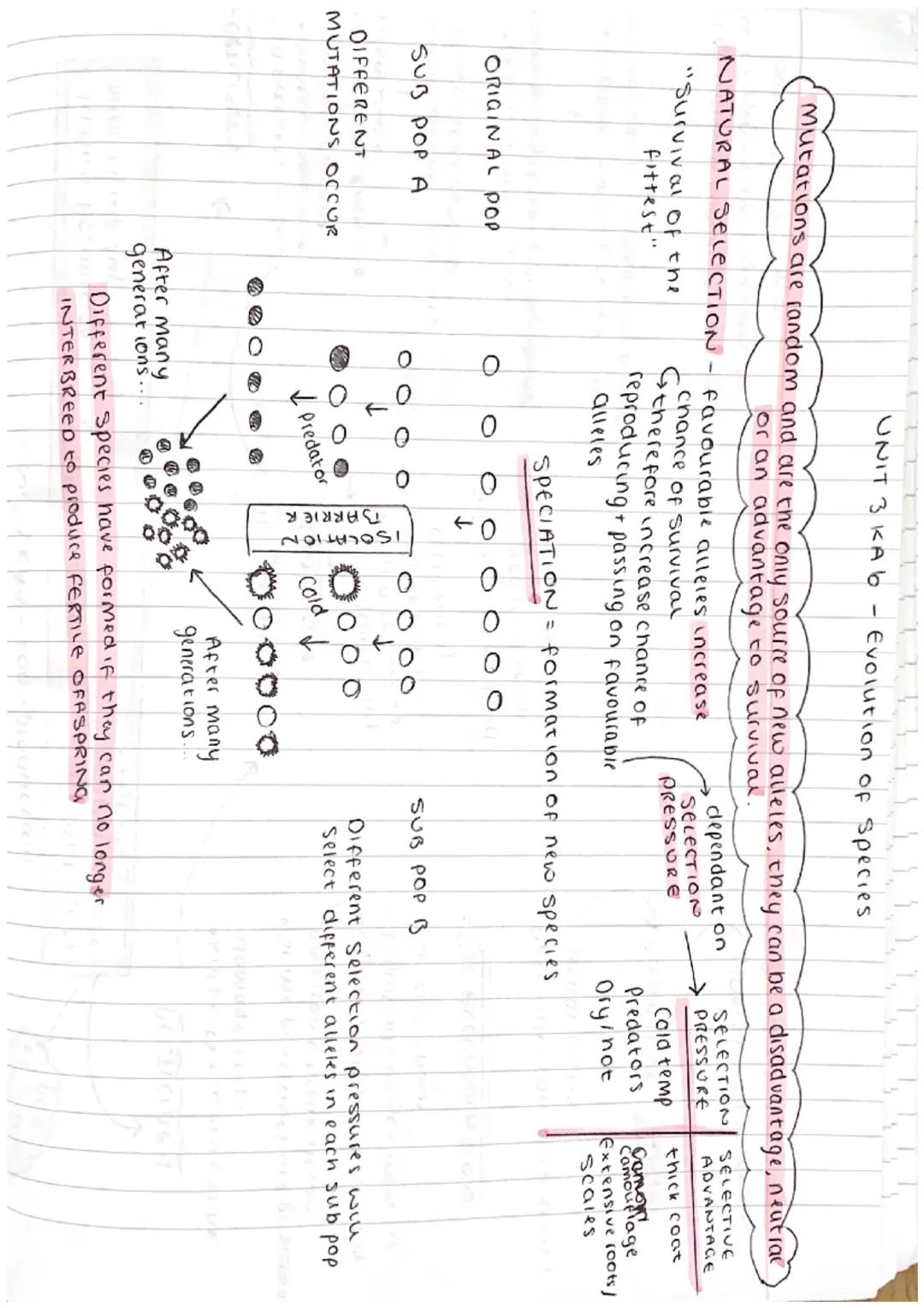 UNIT 3 KAI- Ecosystems
Biodiversity is the range of plants and animals in a given area
2 types of competition
INTRASPECIFIC = animals of the