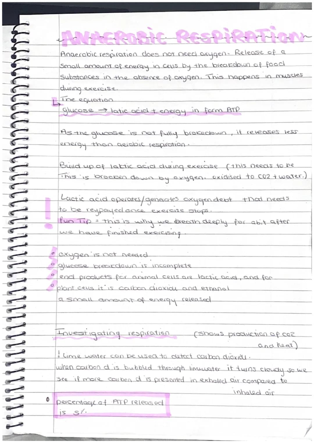 AEROBIC RESPIRATION
Aerobic respiration accurs in the presence of lots of oxygen.
4 The equation
glucose + oxygen → carbon dioxide + water.
