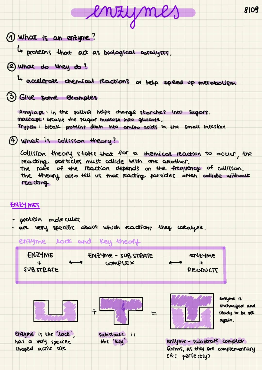 Easy Guide: How Enzymes Work in Biology and Fun Facts About Their Functions!