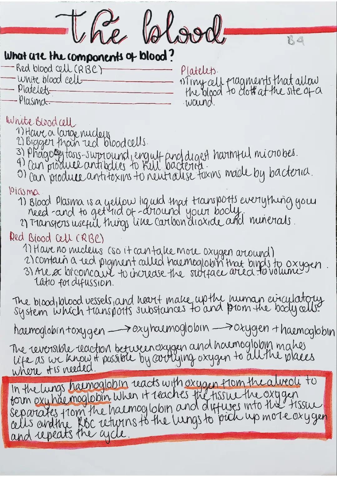 Biology|The blood|AQA