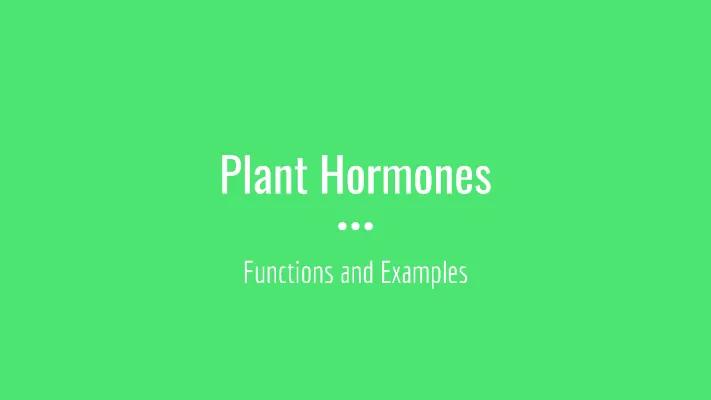 Know Plant Hormones thumbnail