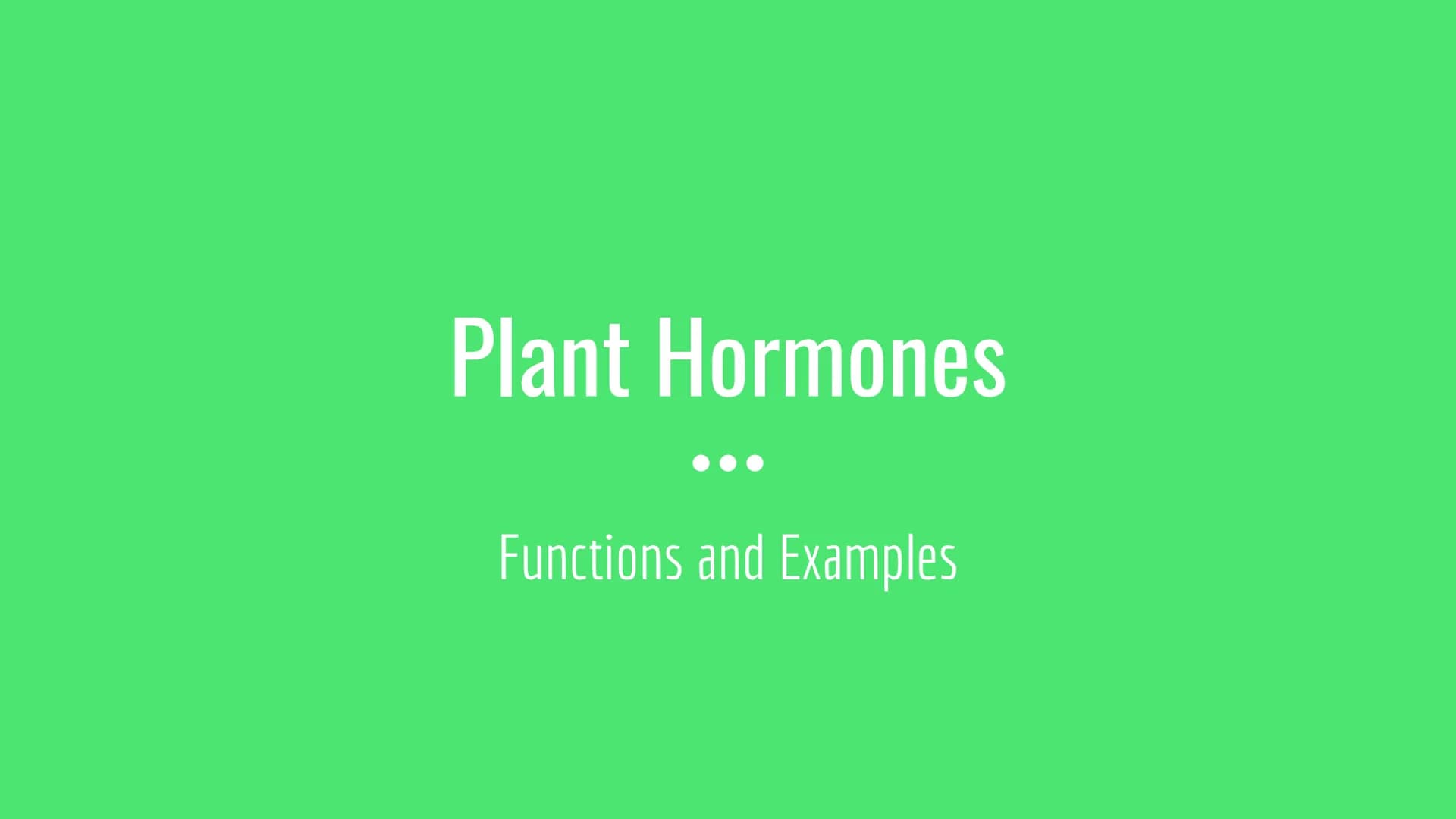 Plant Hormones
Functions and Examples There are 3 plant hormones you need to know:
Auxin Gibberellins • Ethene Auxins
Phototropism
Phototrop