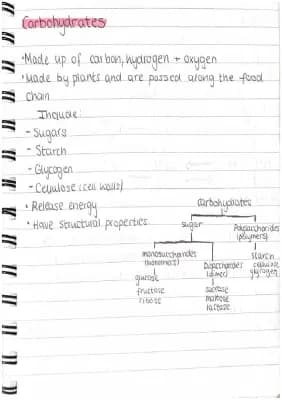 Know As Level Biology 1.1 Carbohydrates thumbnail