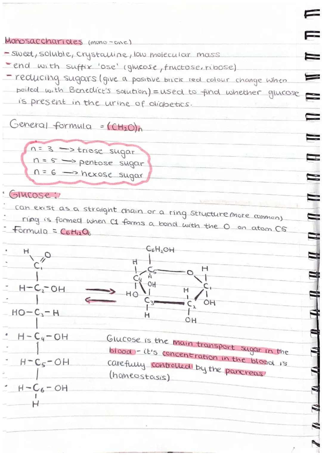 ( 11 (1
" " " V TP TP TP AL }) })
Carbohydrates
•Made up of carbon, hydrogen + oxygen.
•Made by plants and are passed along the food.
chain
