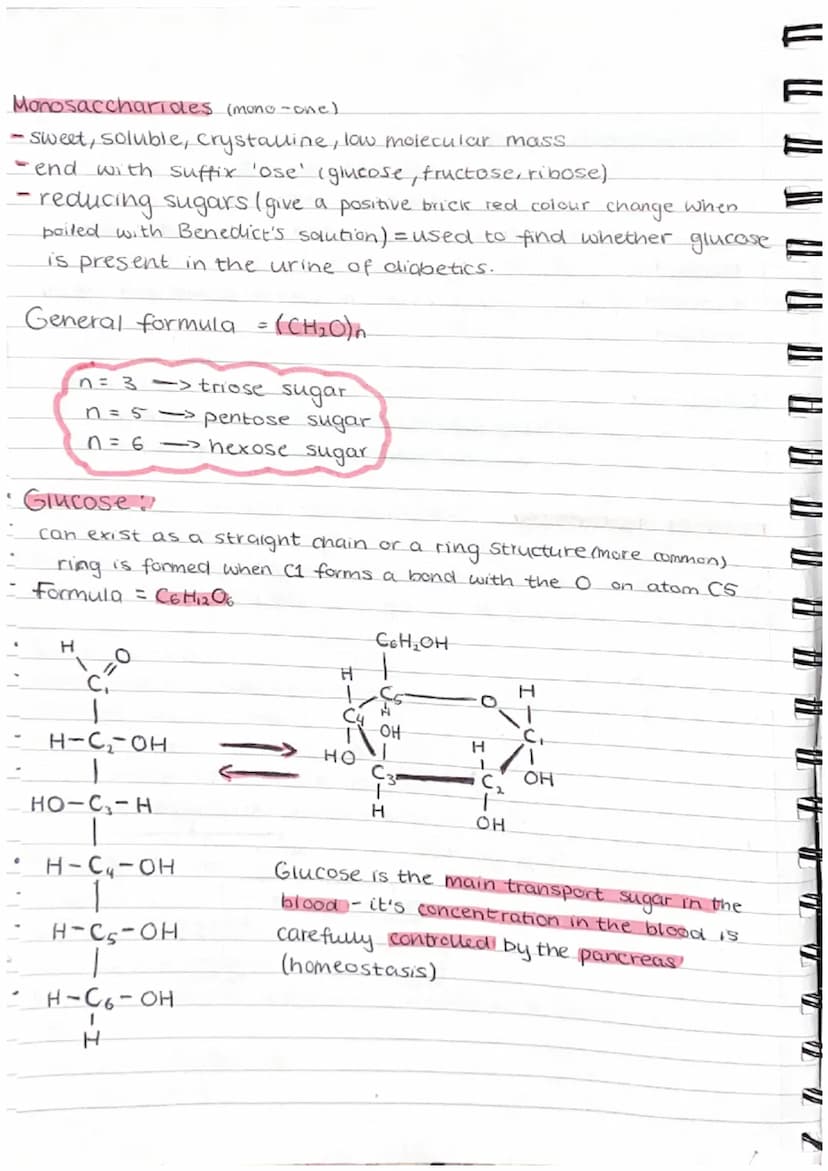 ( 11 (1
" " " V TP TP TP AL }) })
Carbohydrates
•Made up of carbon, hydrogen + oxygen.
•Made by plants and are passed along the food.
chain
