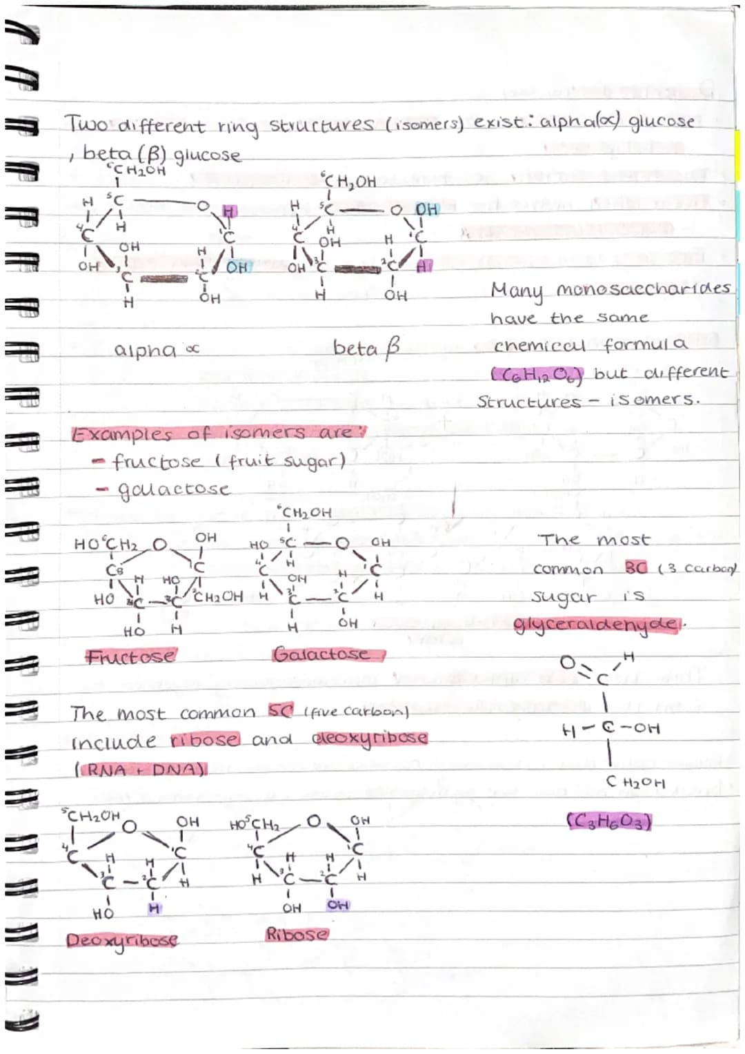( 11 (1
" " " V TP TP TP AL }) })
Carbohydrates
•Made up of carbon, hydrogen + oxygen.
•Made by plants and are passed along the food.
chain
