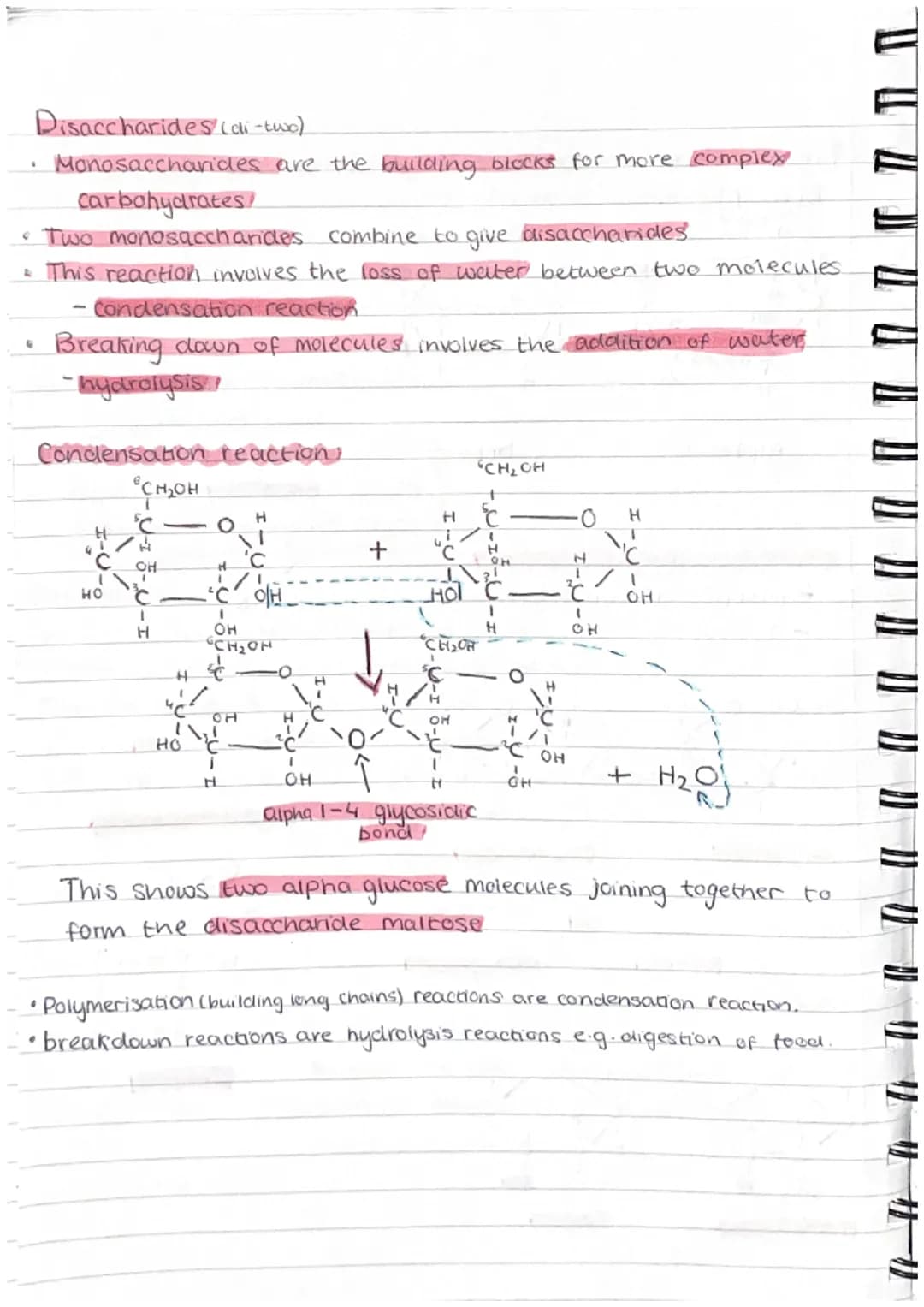 ( 11 (1
" " " V TP TP TP AL }) })
Carbohydrates
•Made up of carbon, hydrogen + oxygen.
•Made by plants and are passed along the food.
chain
