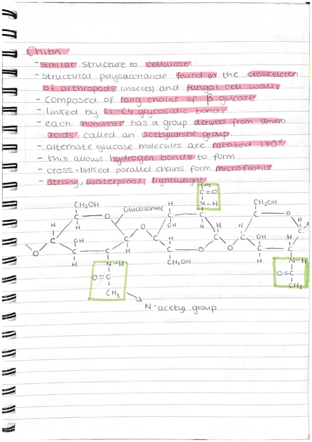( 11 (1
" " " V TP TP TP AL }) })
Carbohydrates
•Made up of carbon, hydrogen + oxygen.
•Made by plants and are passed along the food.
chain

