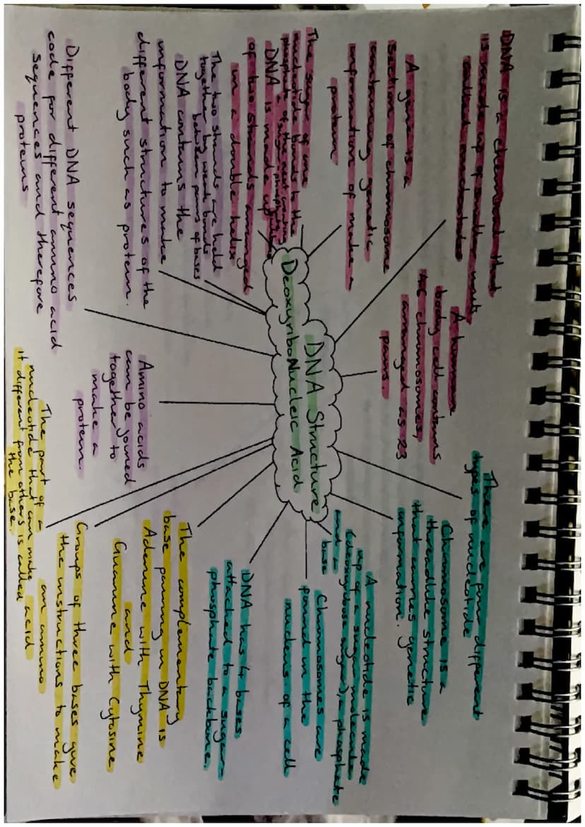 Biodiversity-
the variety of living
things
Effects of Brotic
and Abrotre factors
Biodiversity and
Distribution
Human activities, such as
hab