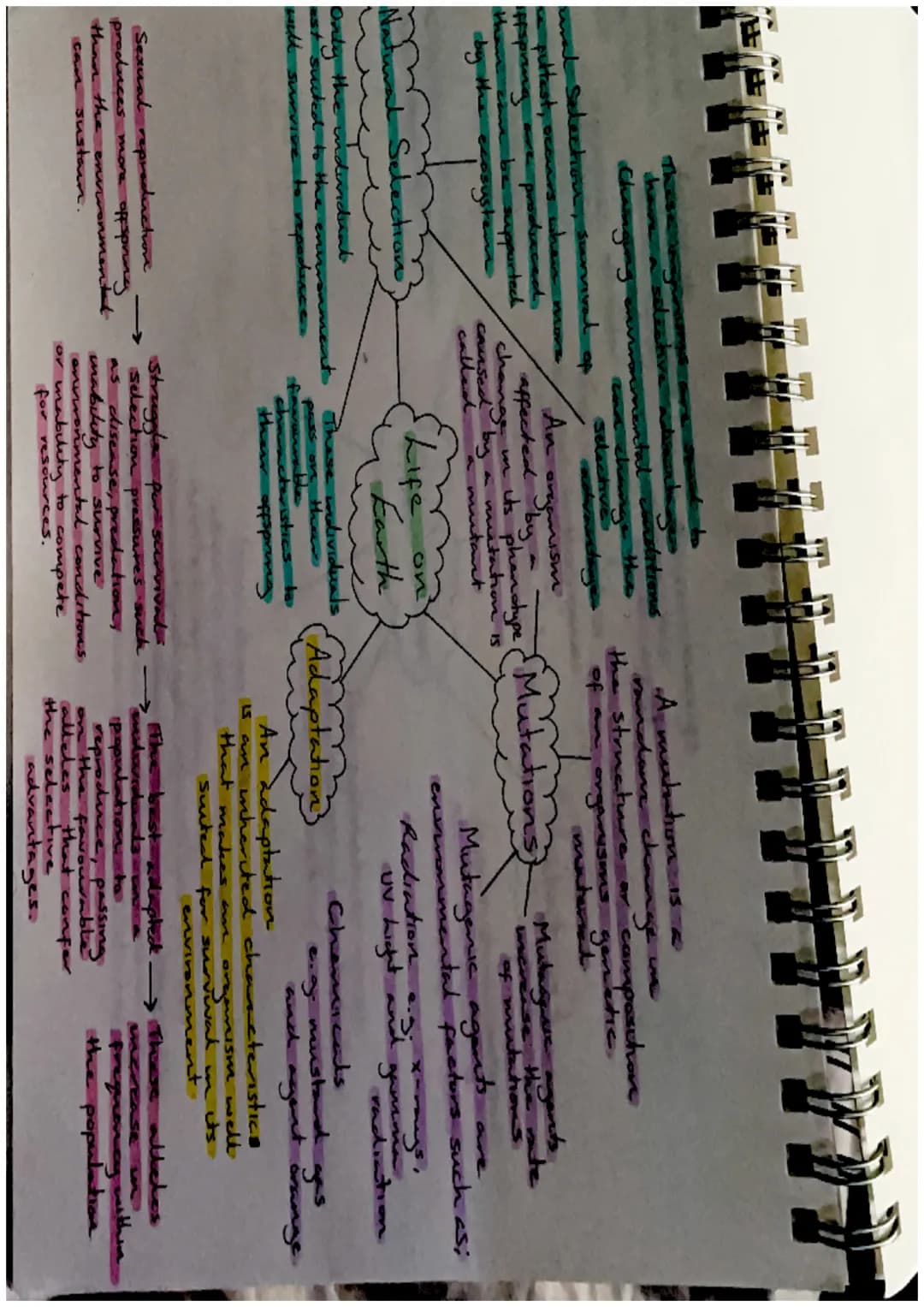 Biodiversity-
the variety of living
things
Effects of Brotic
and Abrotre factors
Biodiversity and
Distribution
Human activities, such as
hab