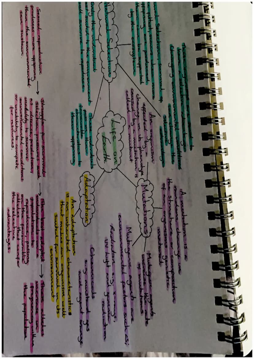 Biodiversity-
the variety of living
things
Effects of Brotic
and Abrotre factors
Biodiversity and
Distribution
Human activities, such as
hab