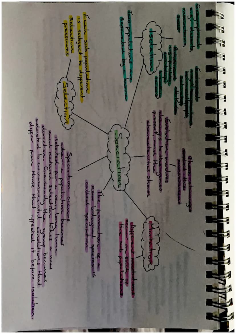 Biodiversity-
the variety of living
things
Effects of Brotic
and Abrotre factors
Biodiversity and
Distribution
Human activities, such as
hab