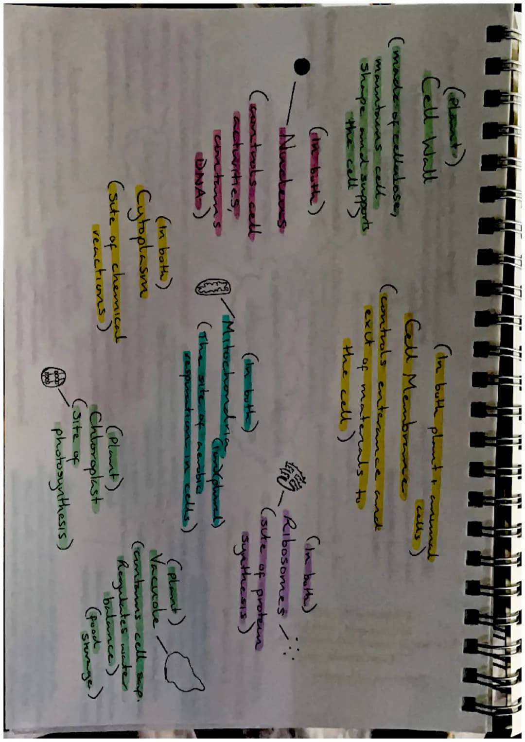Biodiversity-
the variety of living
things
Effects of Brotic
and Abrotre factors
Biodiversity and
Distribution
Human activities, such as
hab