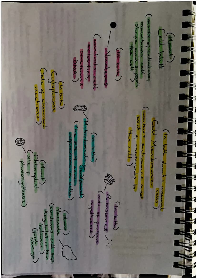 Biodiversity-
the variety of living
things
Effects of Brotic
and Abrotre factors
Biodiversity and
Distribution
Human activities, such as
hab