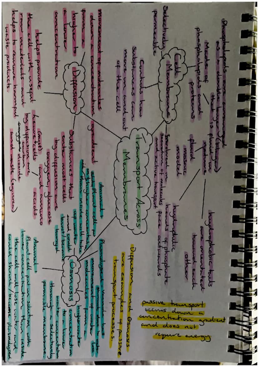 Biodiversity-
the variety of living
things
Effects of Brotic
and Abrotre factors
Biodiversity and
Distribution
Human activities, such as
hab