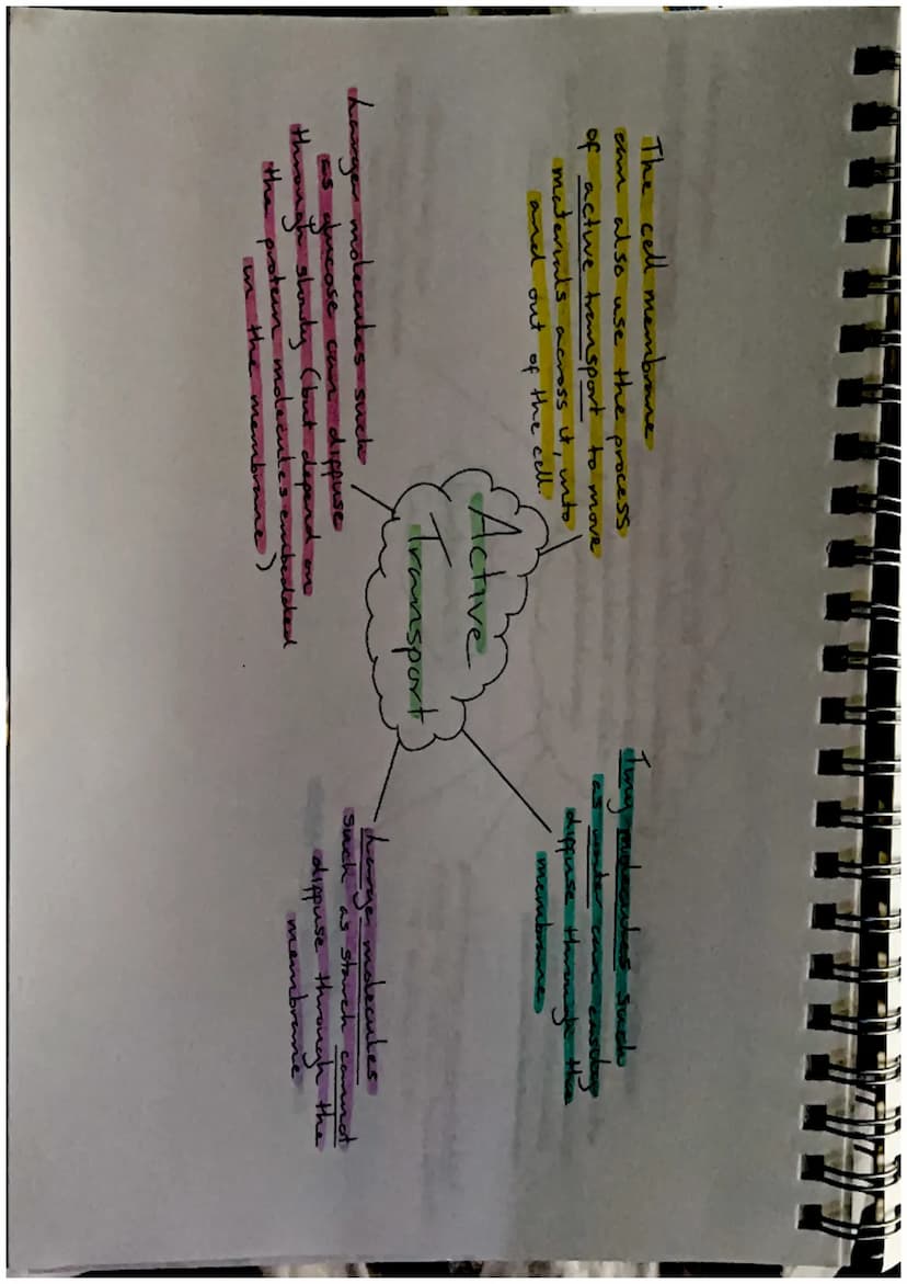 Biodiversity-
the variety of living
things
Effects of Brotic
and Abrotre factors
Biodiversity and
Distribution
Human activities, such as
hab