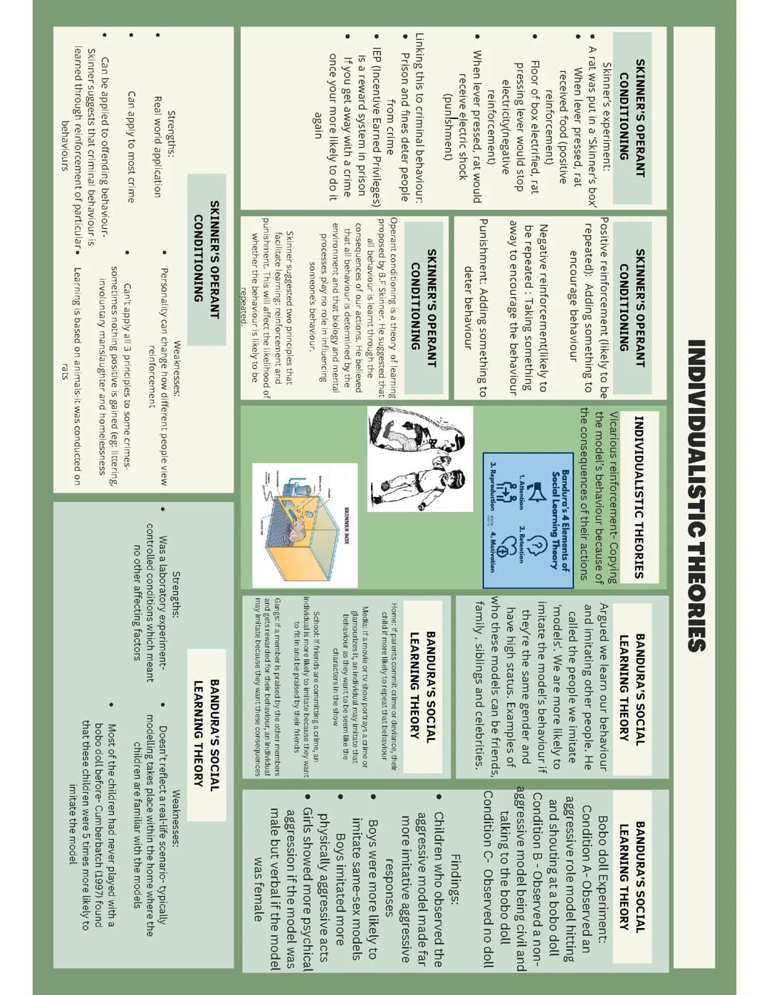 Individual theories for criminology and psychology 