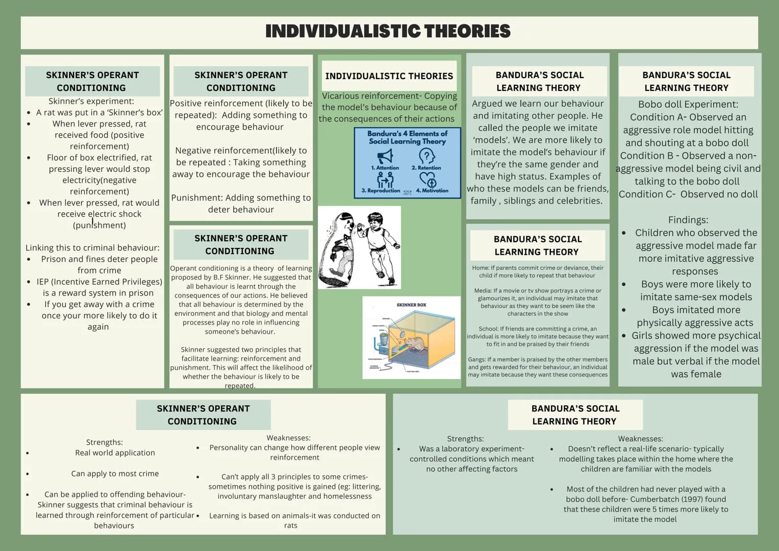 INDIVIDUALISTIC THEORIES
SKINNER'S OPERANT
CONDITIONING
Skinner's experiment:
A rat was put in a 'Skinner's box'
When lever pressed, rat
rec