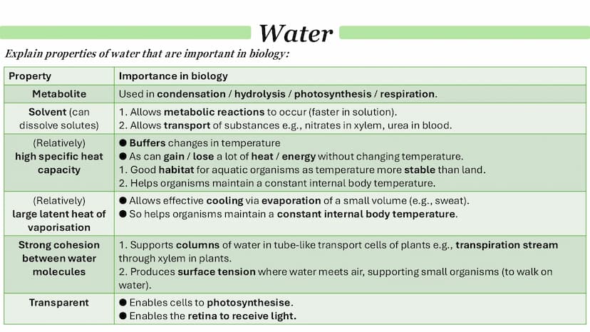Biological Molecules
Paper 1 ATP
Derivative - A compound that is derived (obtained) from a similar
compound by a chemical reaction.
•
(1) AM