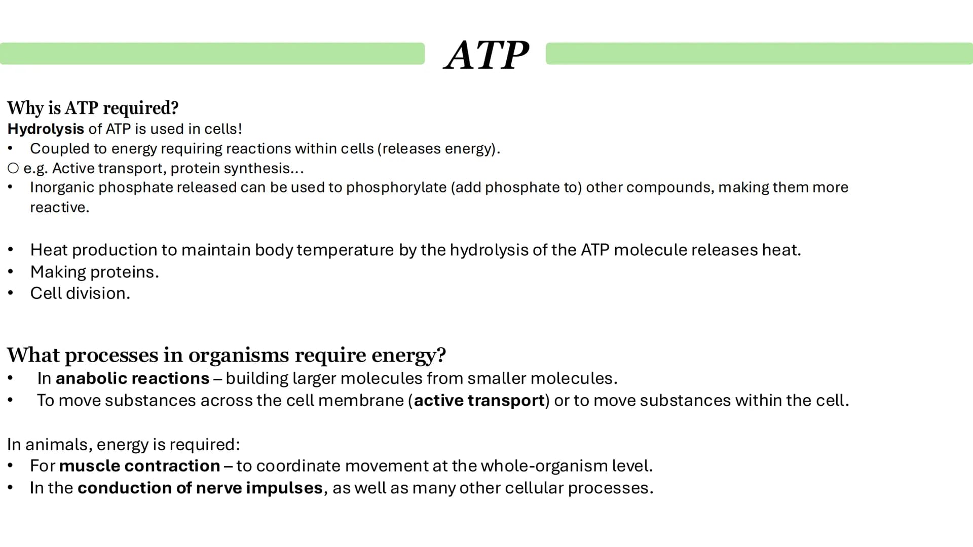 Biological Molecules
Paper 1 ATP
Derivative - A compound that is derived (obtained) from a similar
compound by a chemical reaction.
•
(1) AM