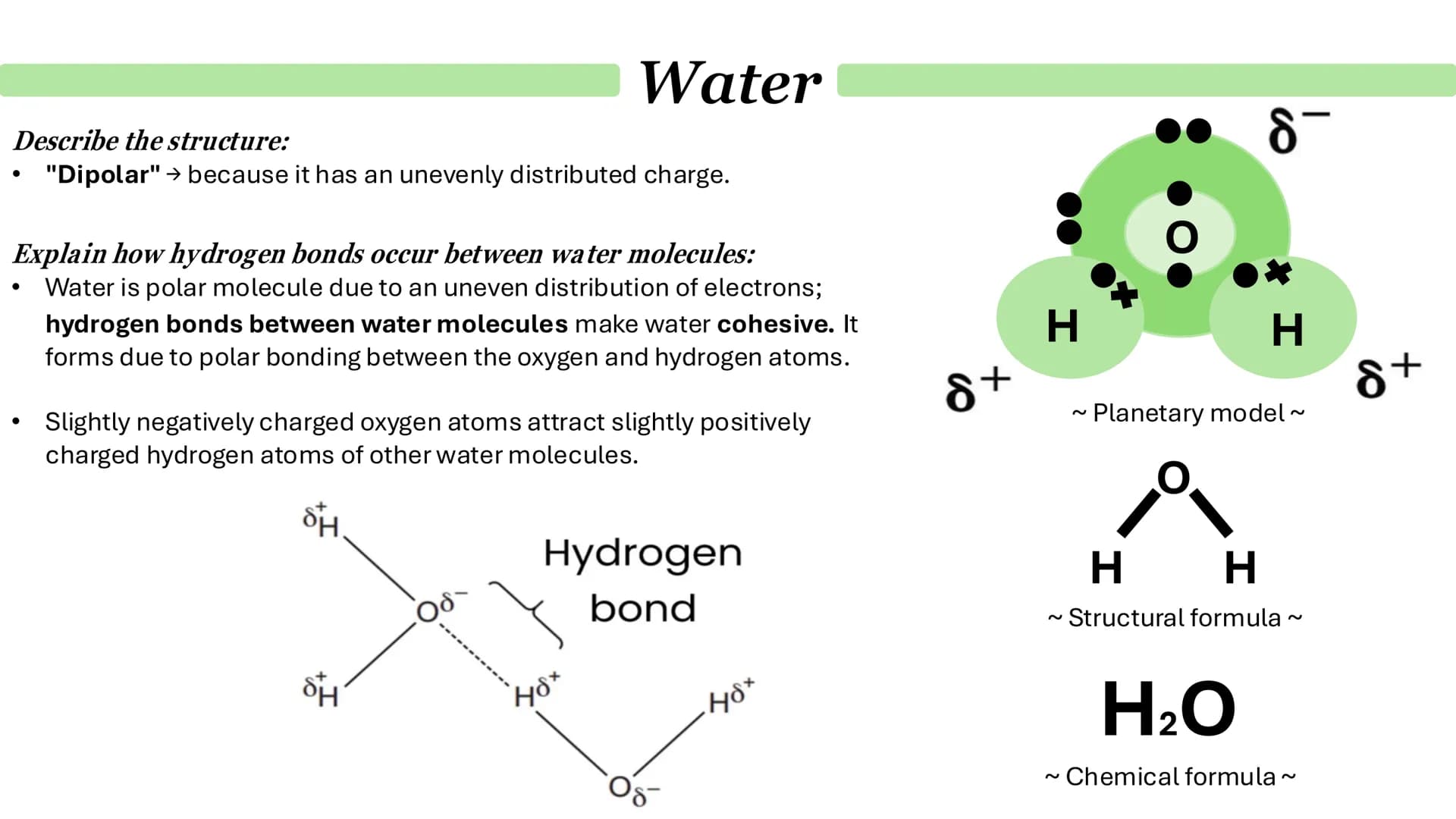 Biological Molecules
Paper 1 ATP
Derivative - A compound that is derived (obtained) from a similar
compound by a chemical reaction.
•
(1) AM