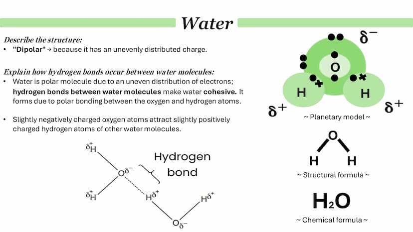 Biological Molecules
Paper 1 ATP
Derivative - A compound that is derived (obtained) from a similar
compound by a chemical reaction.
•
(1) AM