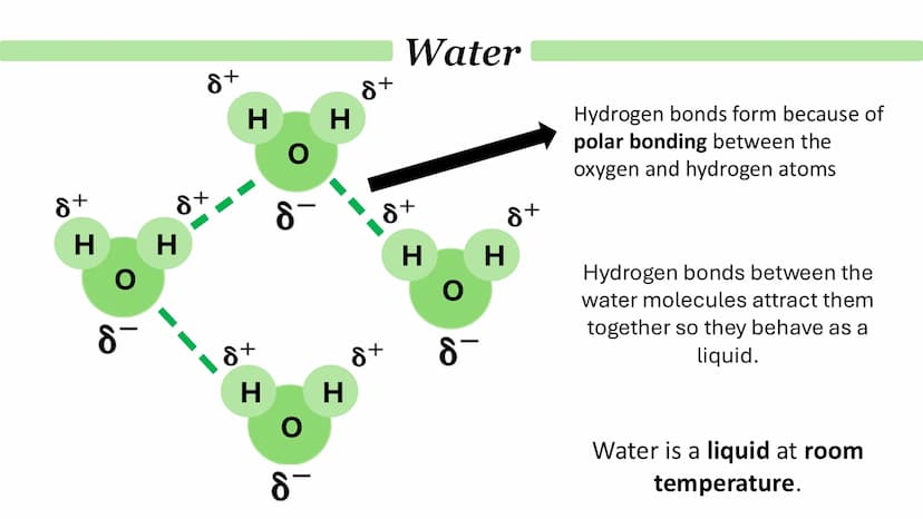 Biological Molecules
Paper 1 ATP
Derivative - A compound that is derived (obtained) from a similar
compound by a chemical reaction.
•
(1) AM