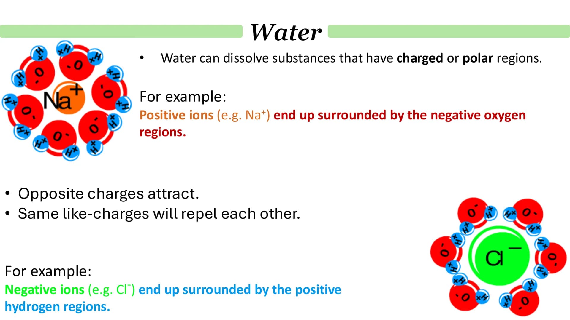 Biological Molecules
Paper 1 ATP
Derivative - A compound that is derived (obtained) from a similar
compound by a chemical reaction.
•
(1) AM