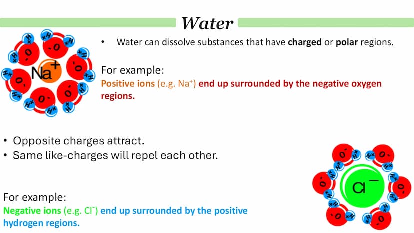 Biological Molecules
Paper 1 ATP
Derivative - A compound that is derived (obtained) from a similar
compound by a chemical reaction.
•
(1) AM