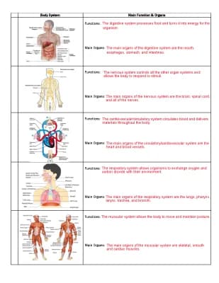 Know Body Systems Notes for AP Bio thumbnail