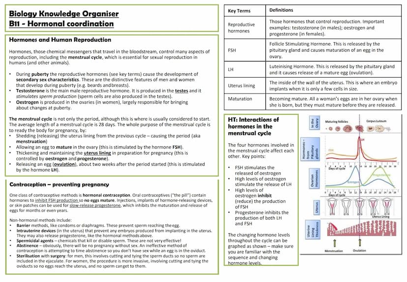 Biology Knowledge Organiser
B11 - Hormonal coordination
The human endocrine system
Hormones are released by endocrine
glands directly into t