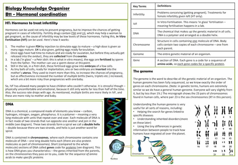 Biology Knowledge Organiser
B11 - Hormonal coordination
The human endocrine system
Hormones are released by endocrine
glands directly into t