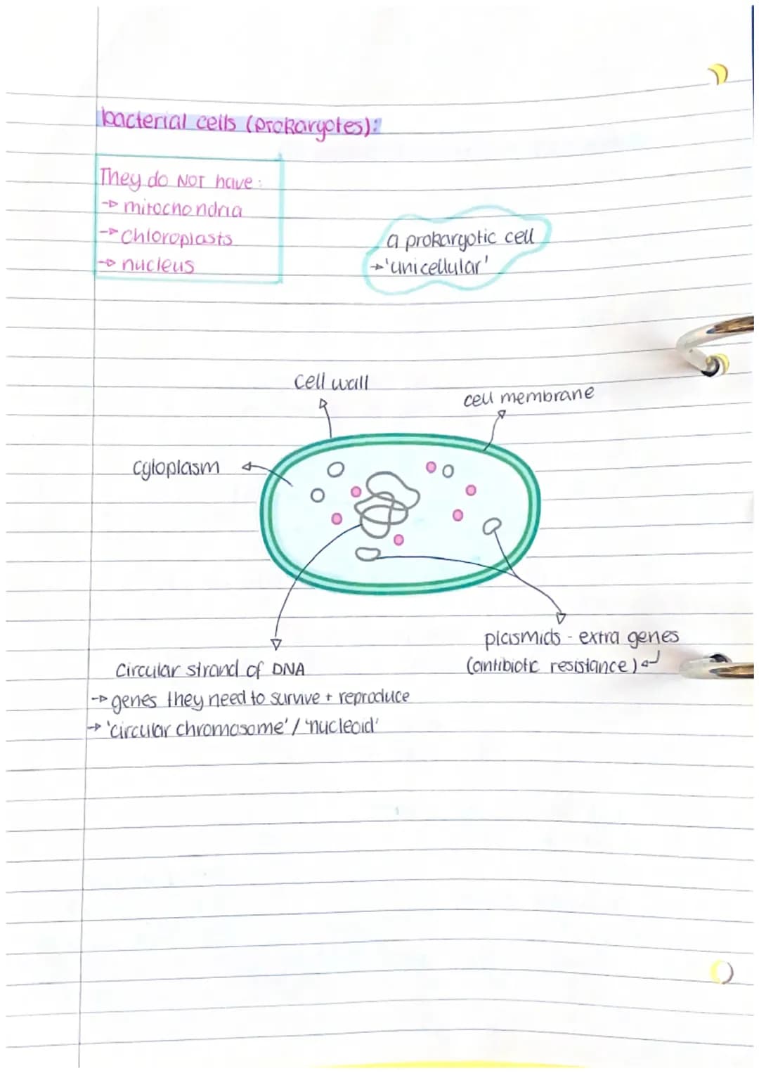 Cell structures
Subcellular structures (organelles):
Cell membrane:
(control which substances can pass in & out of the cell)
(contains
nucie