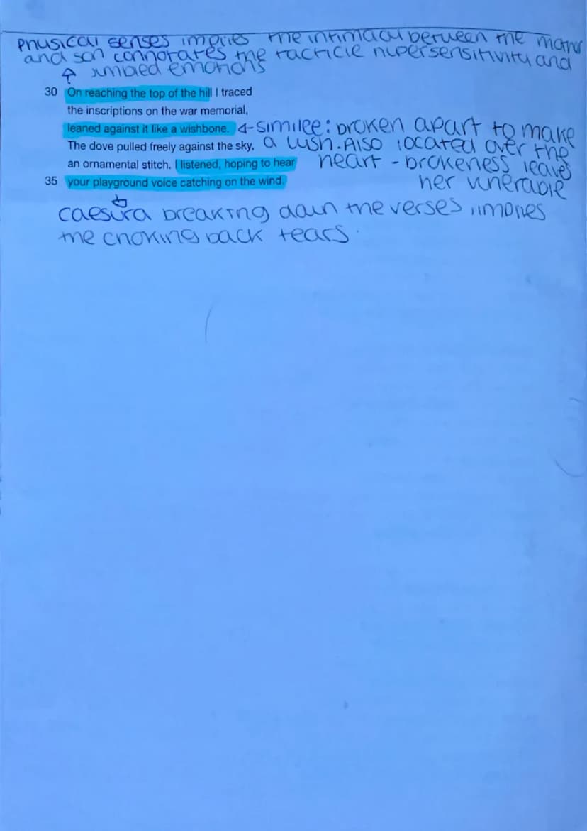 
<p>The poem "Poppies" by Jane Weir explores the impact of modern conflict on a mother and son. The speaker of the poem is the mother, who r