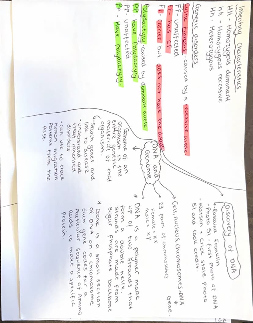Pill
id
Glucose
Thyroxine
TRH released
Type 1: Body does not produce
for any insulin.
enough
Type 2: cells dont respond to insulin.
Causes T