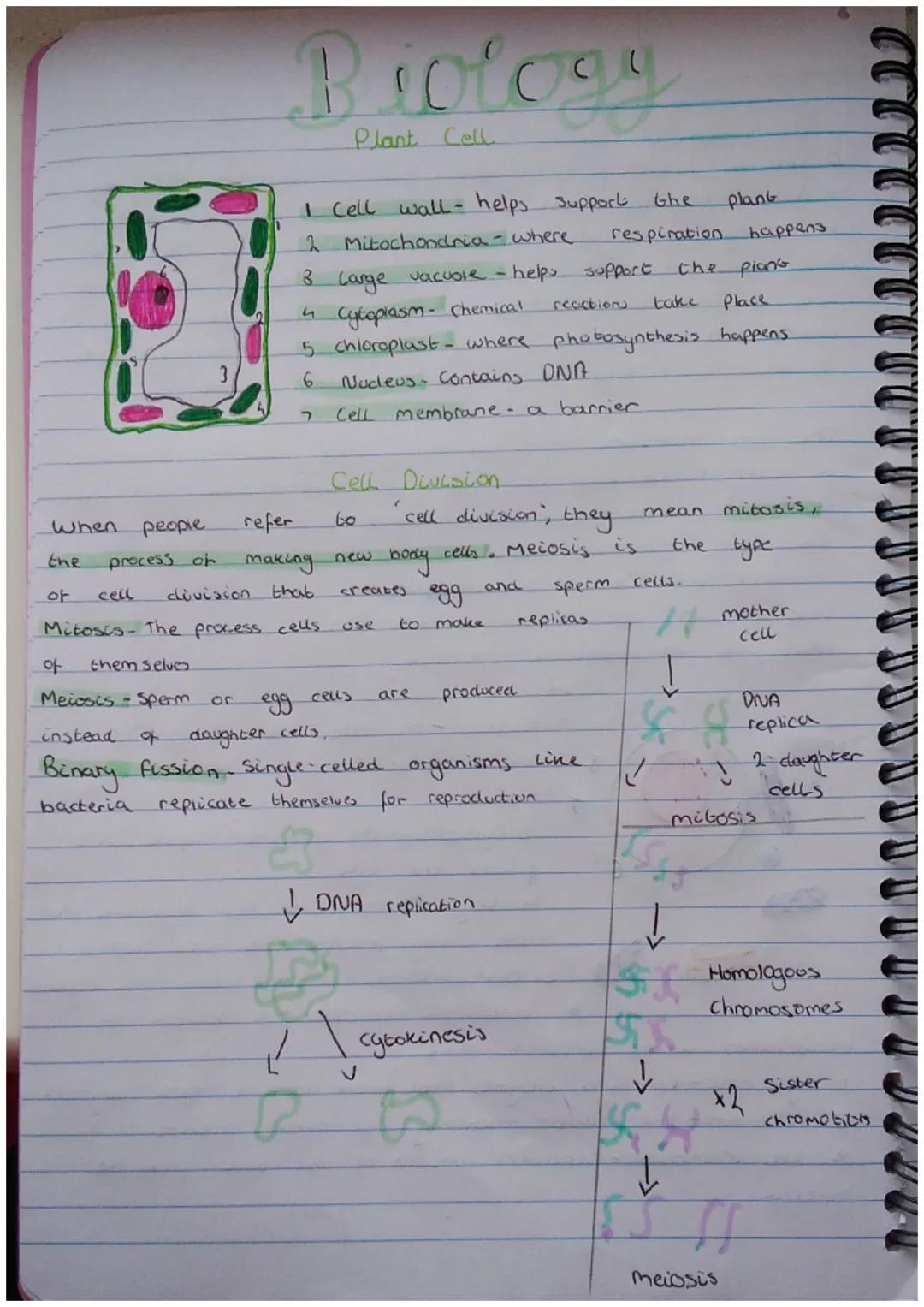Cells and cell division
A cell is a
mass of cytoplasm that is
a cell membrane. Cells are the smallest
and
compose
more nuclei and
tasks Sing