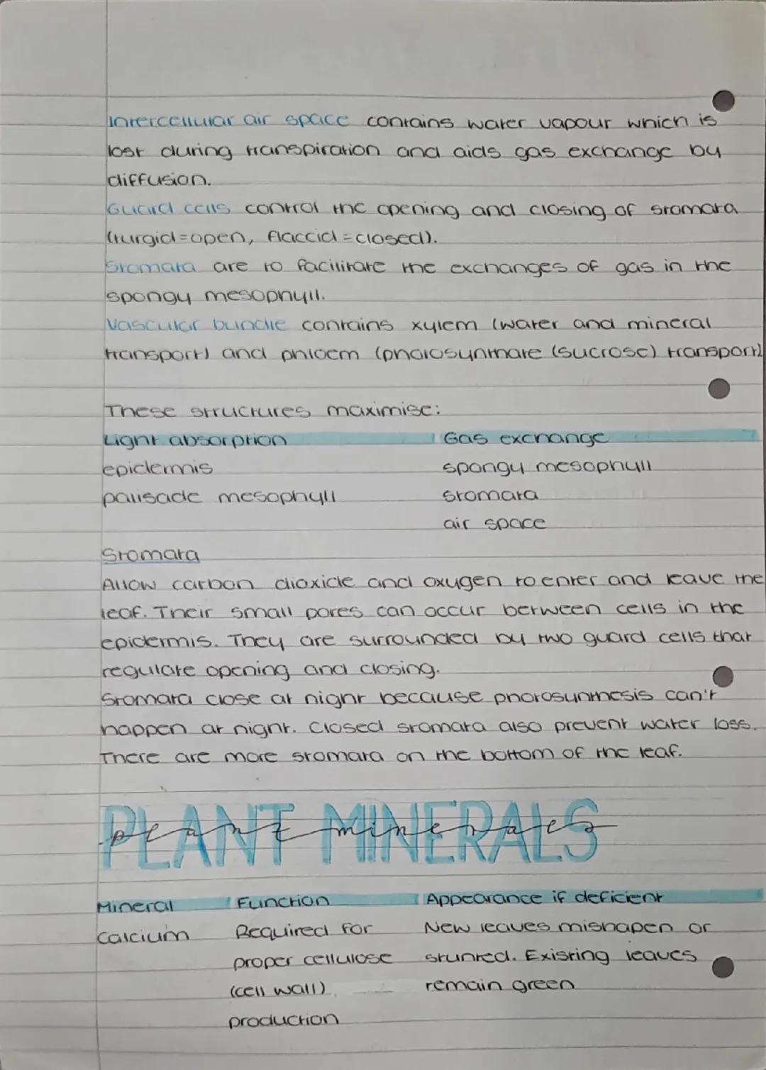 ## PHOTOSYNTHESIS

An endothermic process that takes place in chloroplasts, where chlorophyll absorbs light energy and produces sugars and s