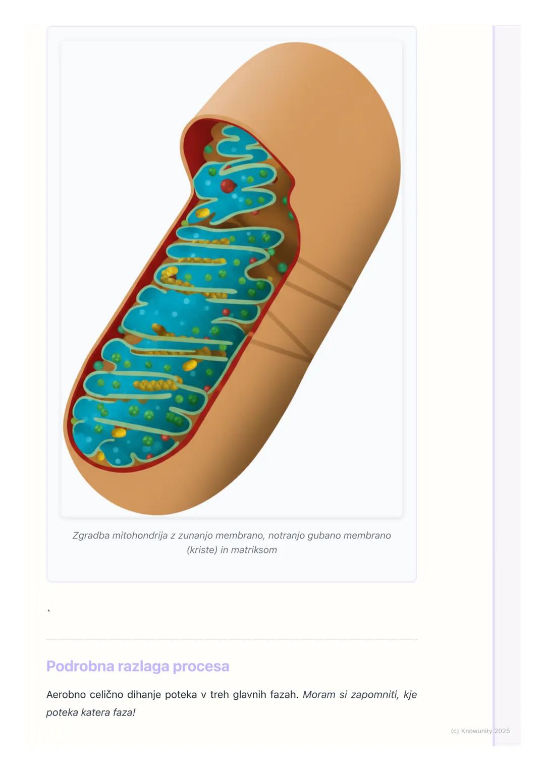 # Celično dihanje

Uvod v celično dihanje

Celično dihanje je proces, pri katerem celice razgrajujejo organske snovi
(predvsem glukozo) in s