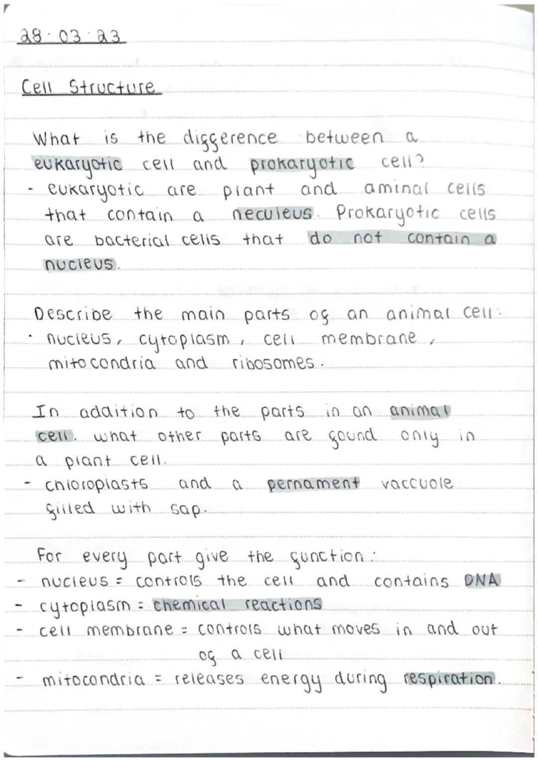 28.03 23.

Cell Structure...

What is the diggerence between a
eukaryotic cell and prokaryotic cell?
- eukaryotic are plant and aminal cells