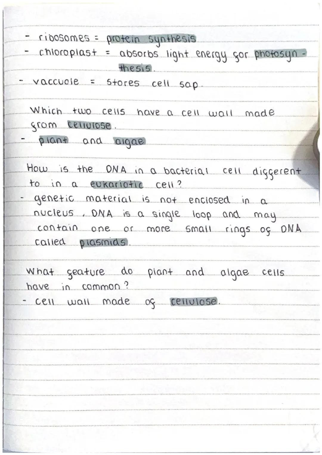 28.03 23.

Cell Structure...

What is the diggerence between a
eukaryotic cell and prokaryotic cell?
- eukaryotic are plant and aminal cells