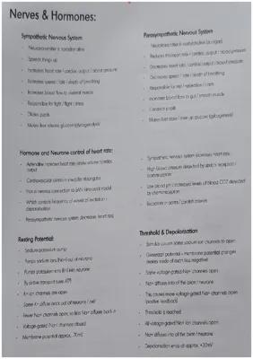 Know A Level Biology Nerves, Hormones & Muscles Summary  thumbnail